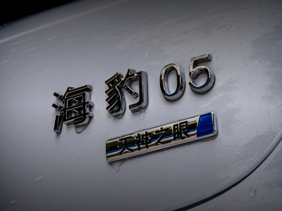 海豹系列